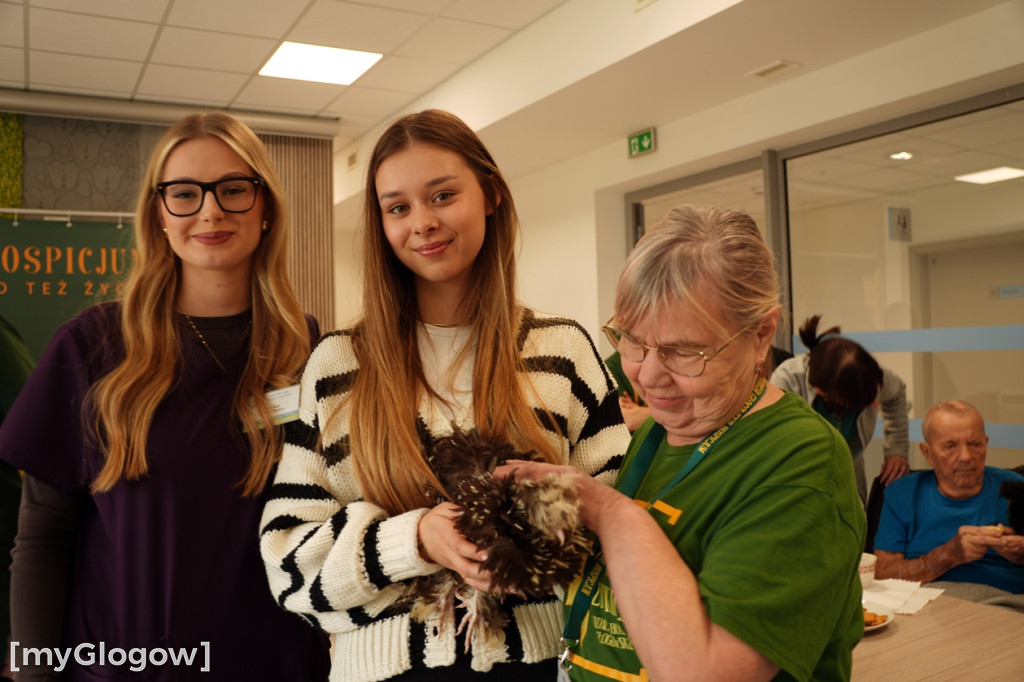 Terapia z kurami w hospicjum