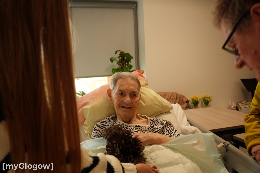 Terapia z kurami w hospicjum