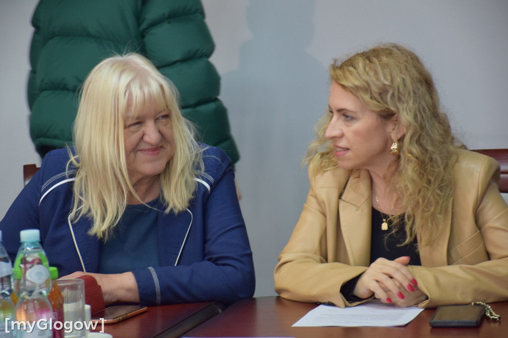 Sesja rady powiatu głogowskiego