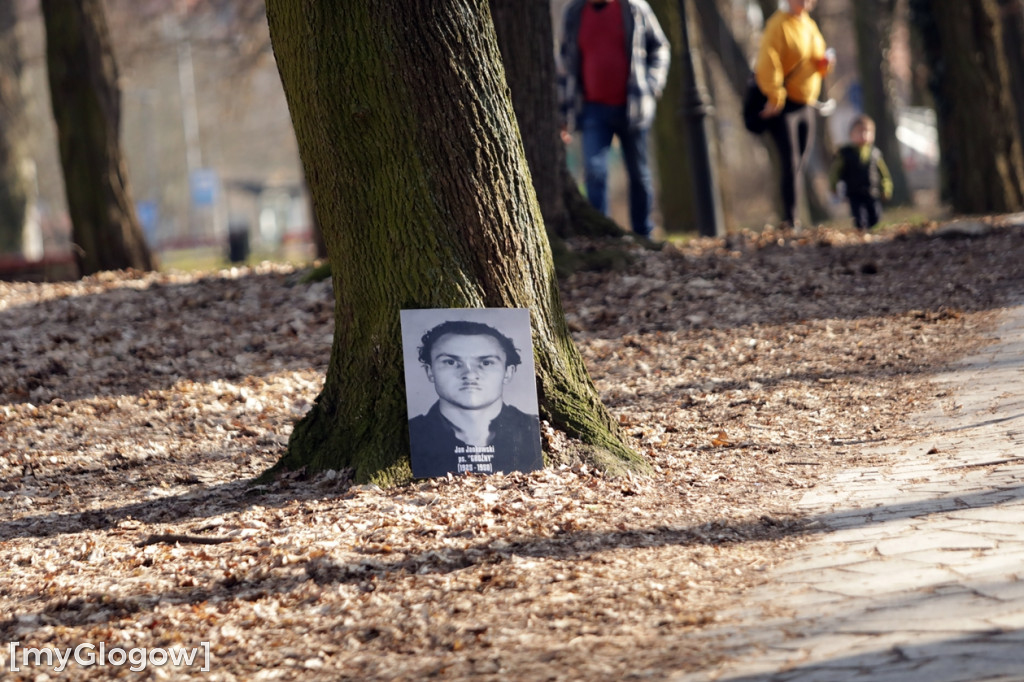 Głogowianie pobiegli dla Żołnierzy Wyklętych
