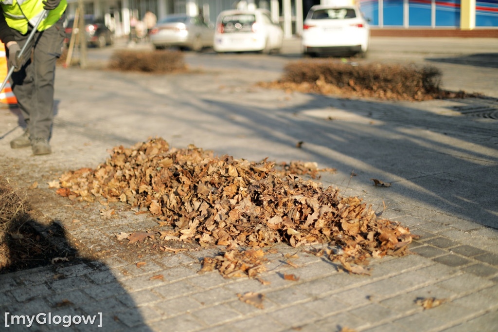 Wiosenne porządki w Głogowie