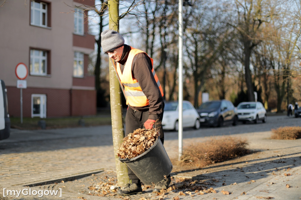 Wiosenne porządki w Głogowie