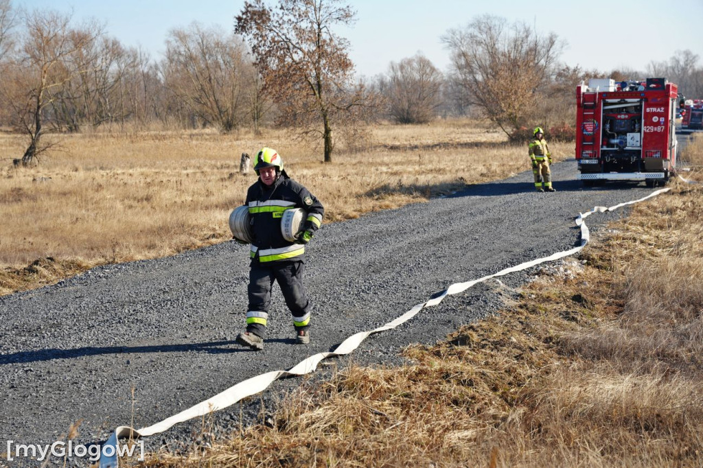 Akcja ratownicza w Hucie Miedzi Głogów