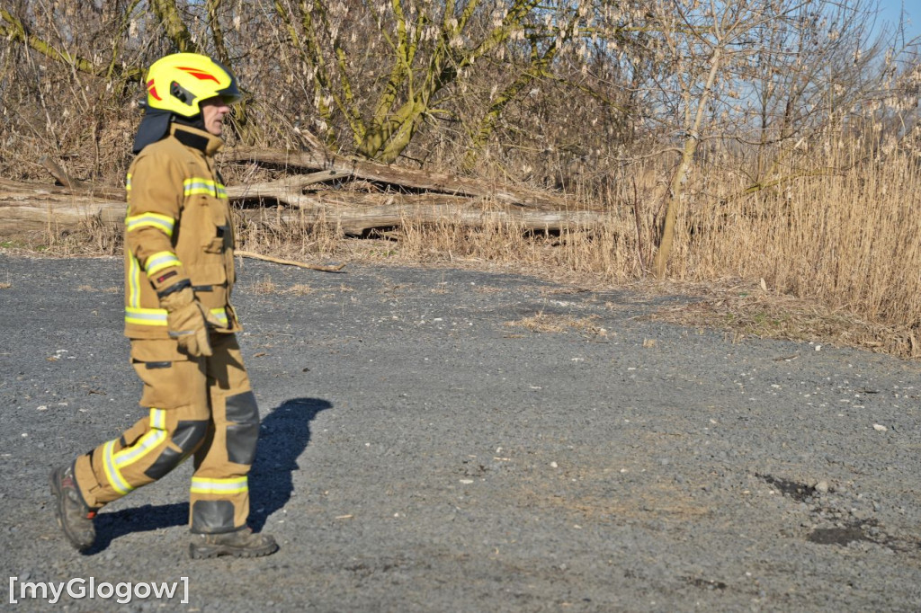 Akcja ratownicza w Hucie Miedzi Głogów