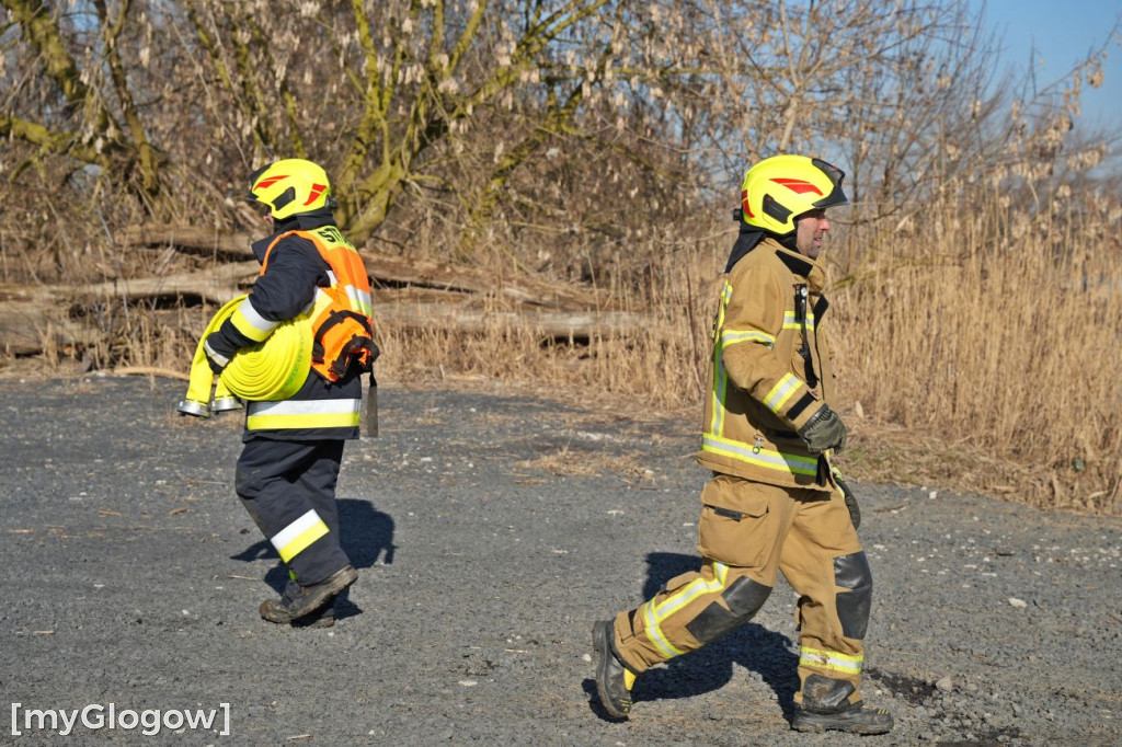 Akcja ratownicza w Hucie Miedzi Głogów