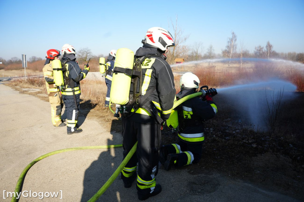 Akcja ratownicza w Hucie Miedzi Głogów