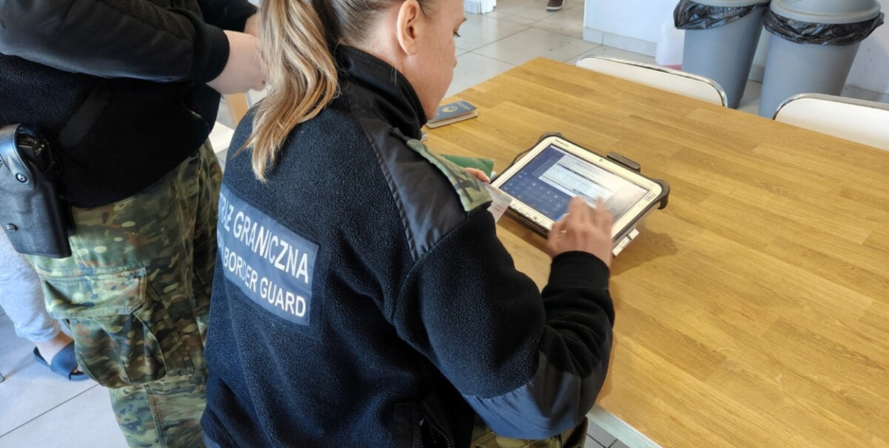 Sprawdzanie cudzoziemców