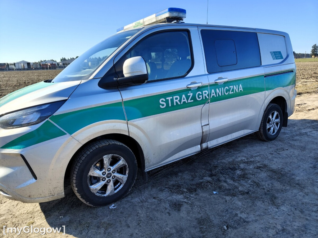 Sprawdzanie cudzoziemców