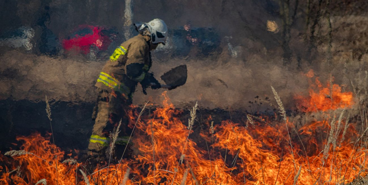 Płoną trawy i nieużytki