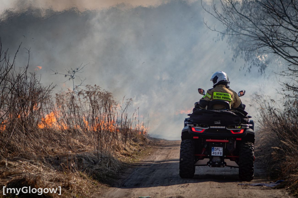 Płoną trawy i nieużytki