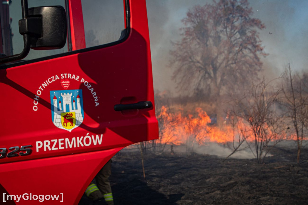 Płoną trawy i nieużytki