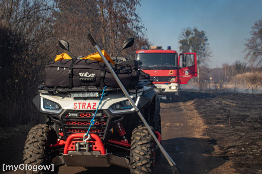 Płoną trawy i nieużytki