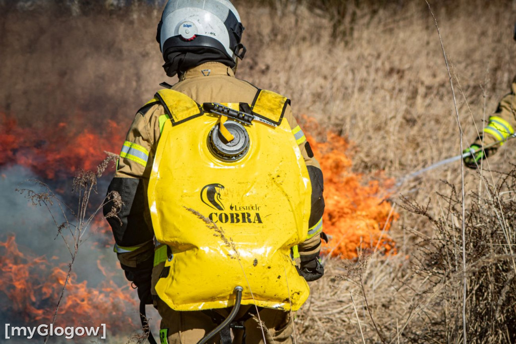 Płoną trawy i nieużytki