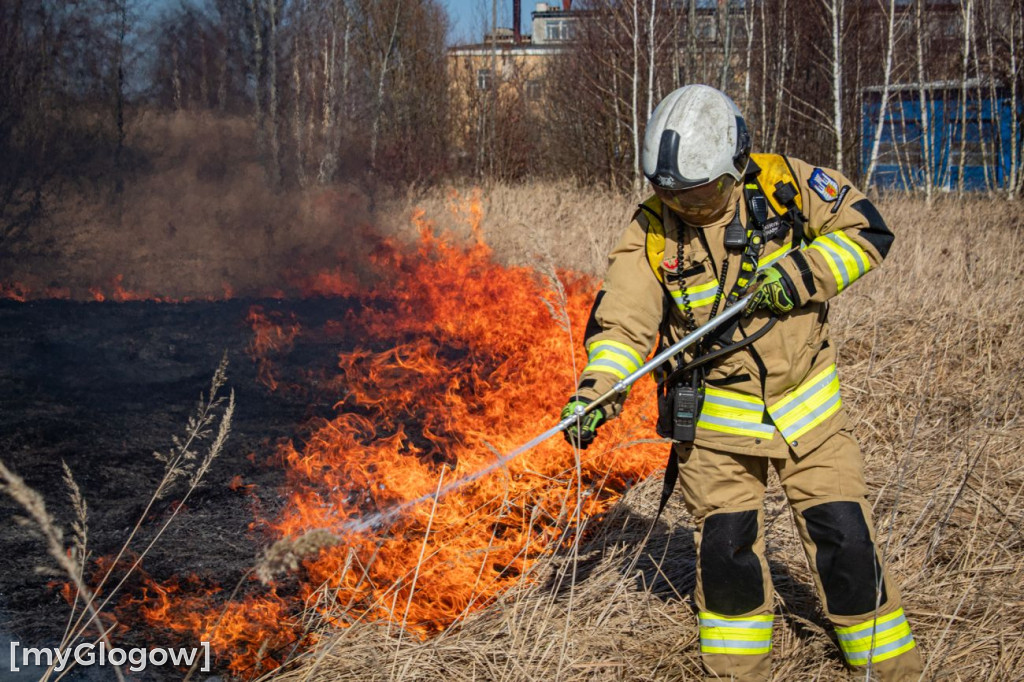 Płoną trawy i nieużytki