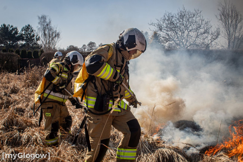 Płoną trawy i nieużytki