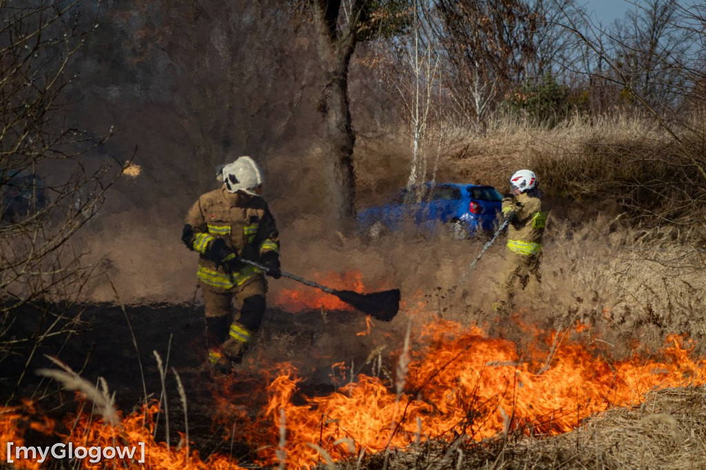 Płoną trawy i nieużytki