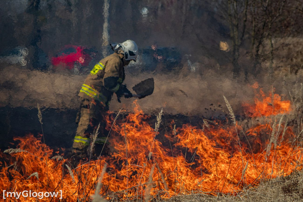 Płoną trawy i nieużytki