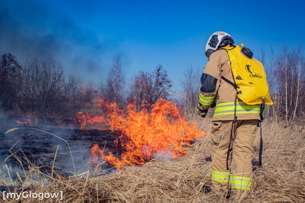 Płoną trawy i nieużytki