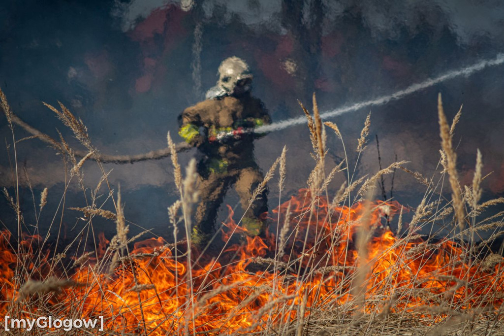 Płoną trawy i nieużytki