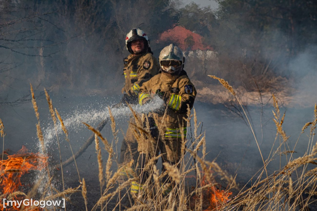 Płoną trawy i nieużytki