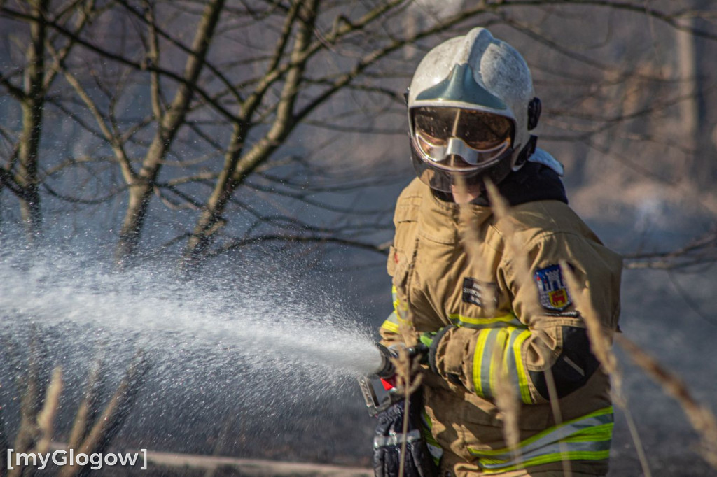 Płoną trawy i nieużytki