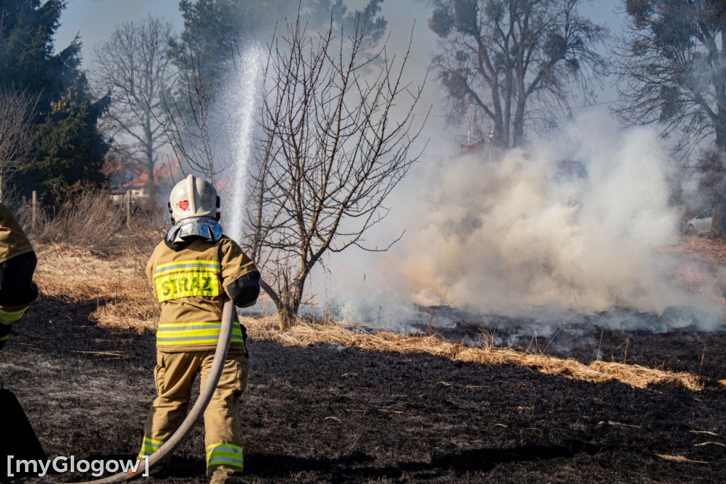 Płoną trawy i nieużytki