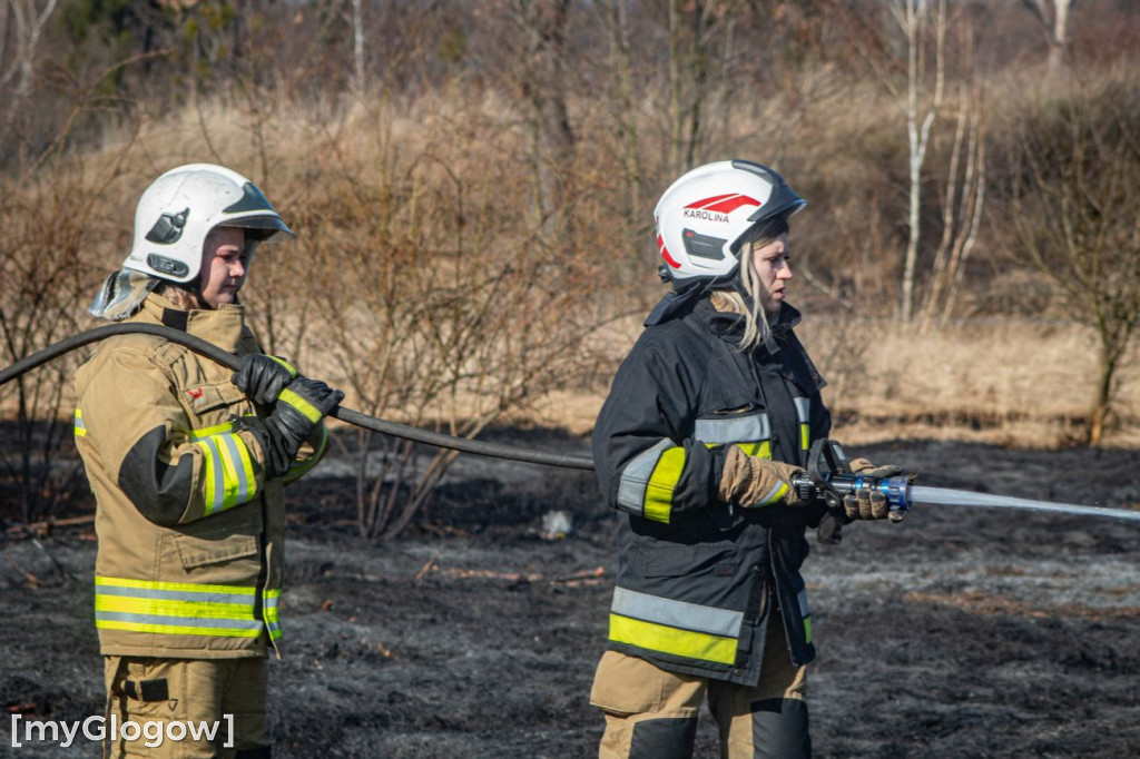 Płoną trawy i nieużytki