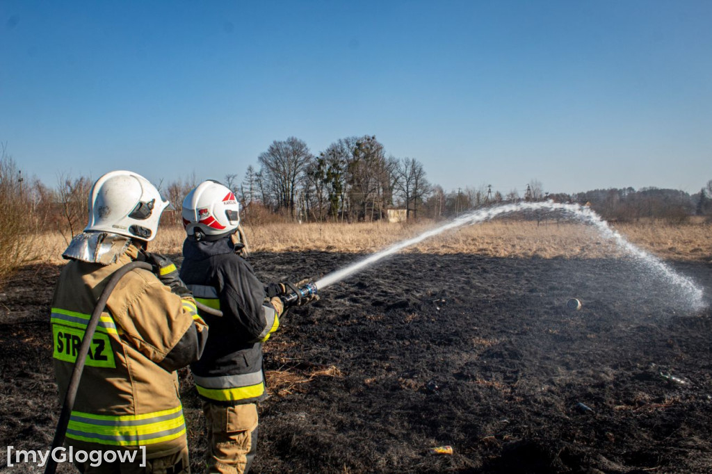 Płoną trawy i nieużytki