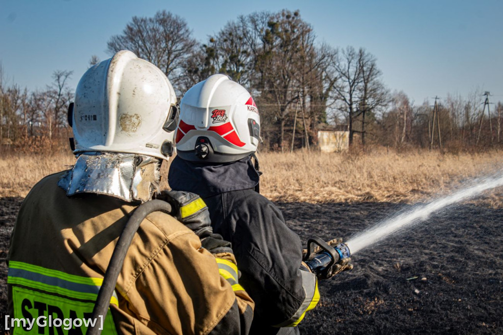 Płoną trawy i nieużytki