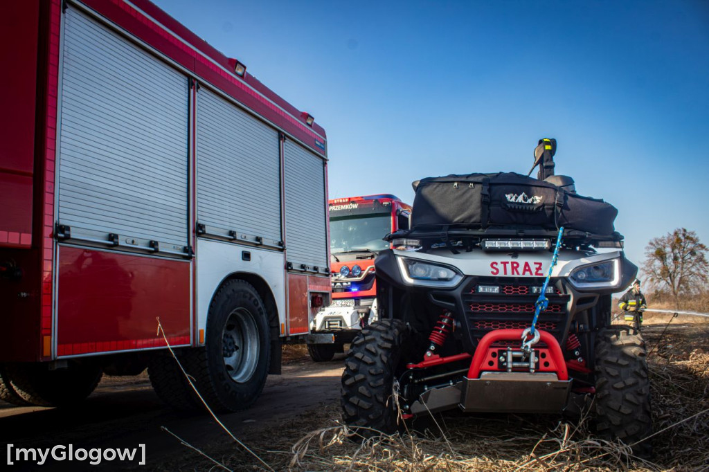 Płoną trawy i nieużytki