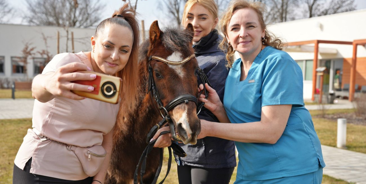 Konie w Hospicjum Głogowskim