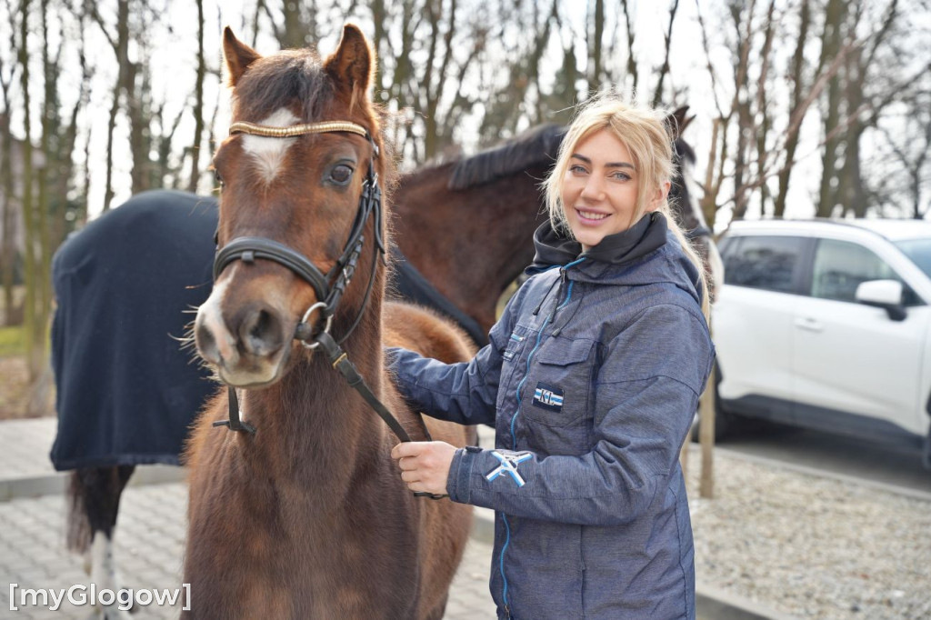 Konie w Hospicjum Głogowskim