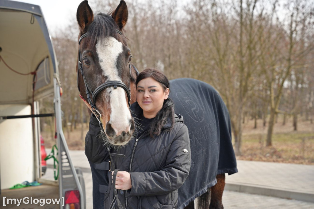 Konie w Hospicjum Głogowskim