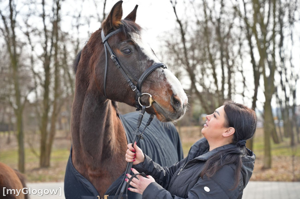 Konie w Hospicjum Głogowskim