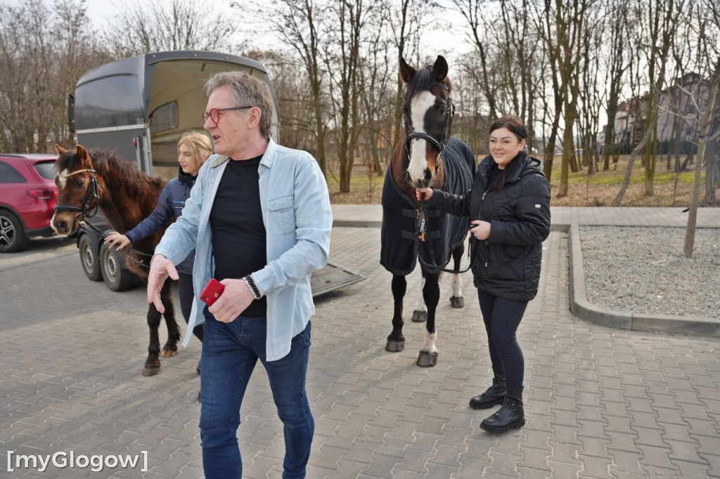 Konie w Hospicjum Głogowskim