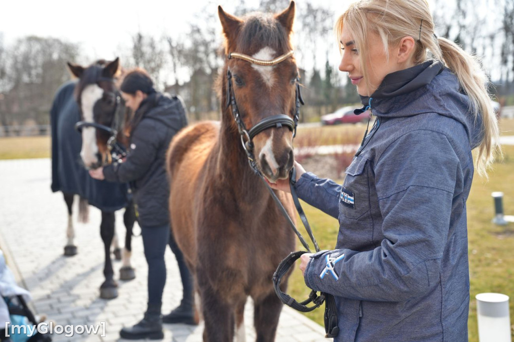 Konie w Hospicjum Głogowskim