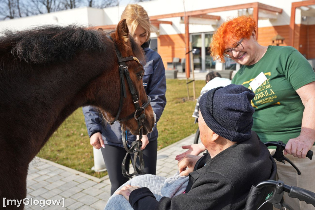 Konie w Hospicjum Głogowskim