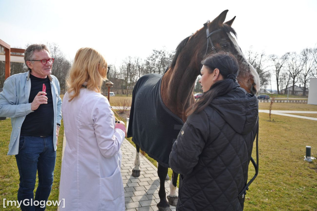 Konie w Hospicjum Głogowskim