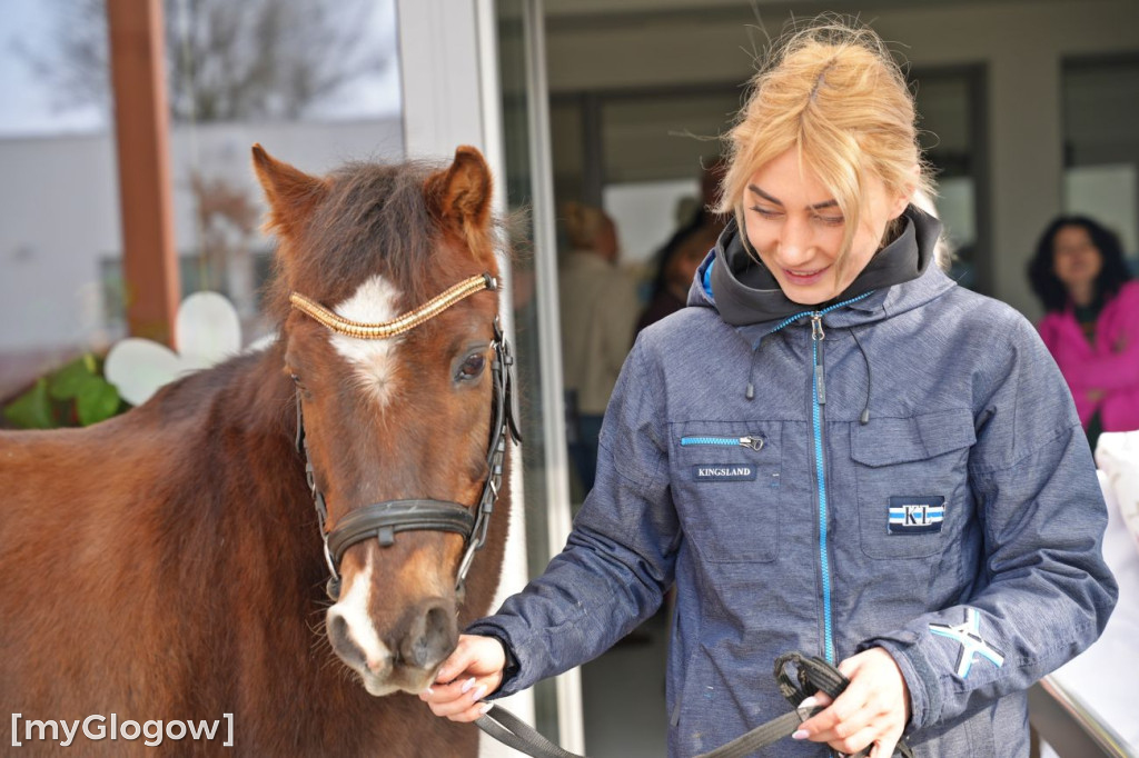 Konie w Hospicjum Głogowskim