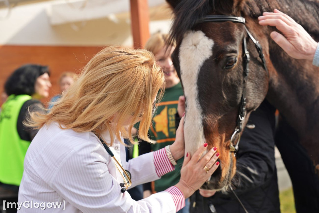 Konie w Hospicjum Głogowskim