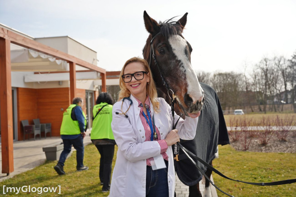 Konie w Hospicjum Głogowskim