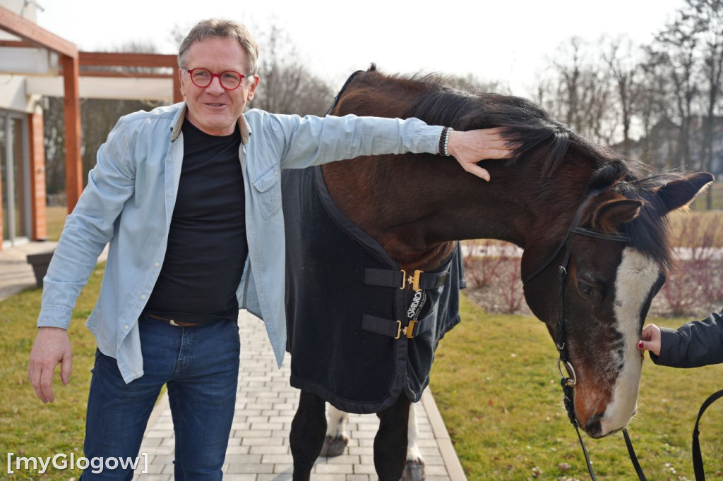 Konie w Hospicjum Głogowskim