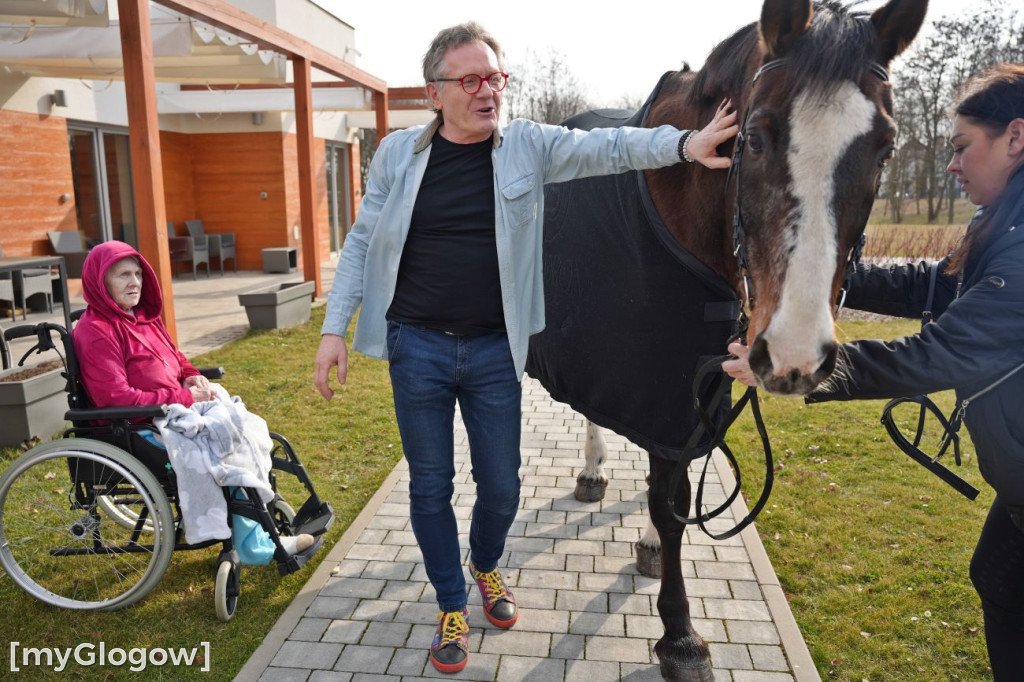 Konie w Hospicjum Głogowskim