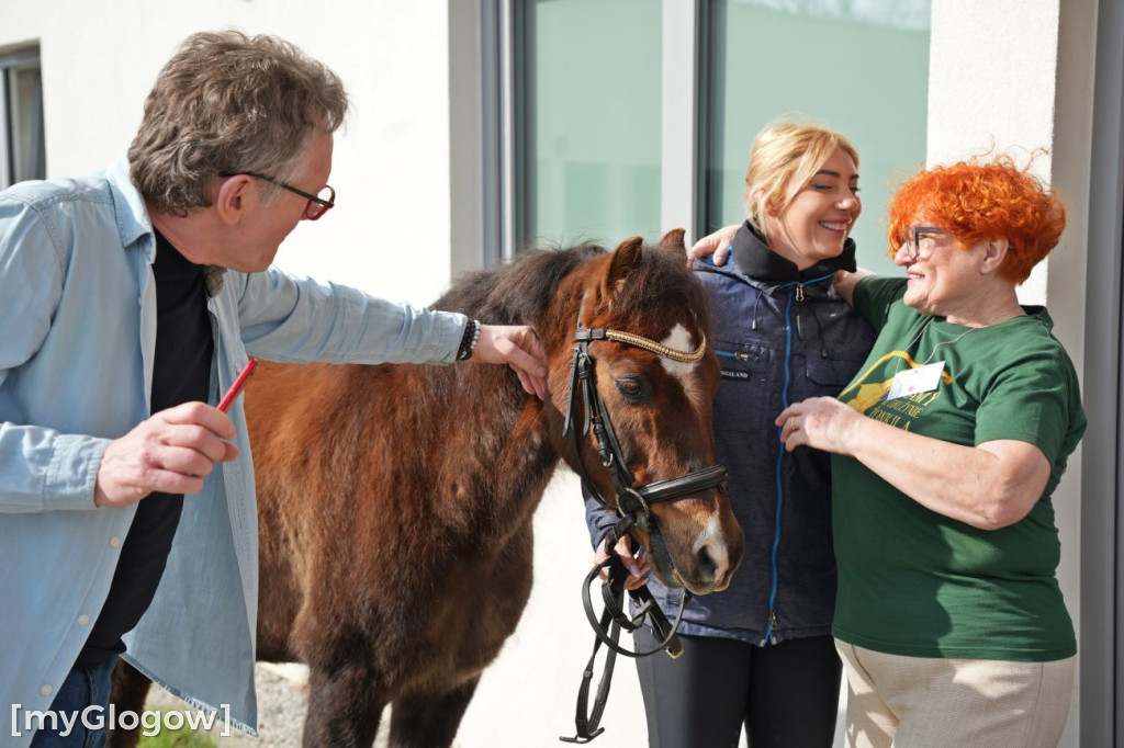 Konie w Hospicjum Głogowskim