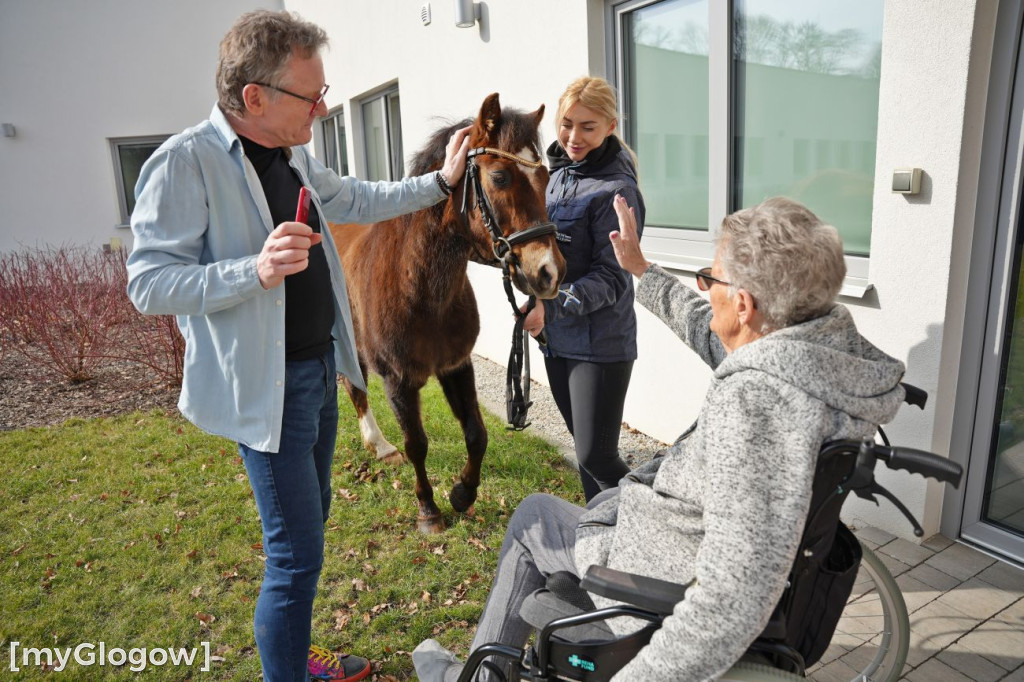 Konie w Hospicjum Głogowskim