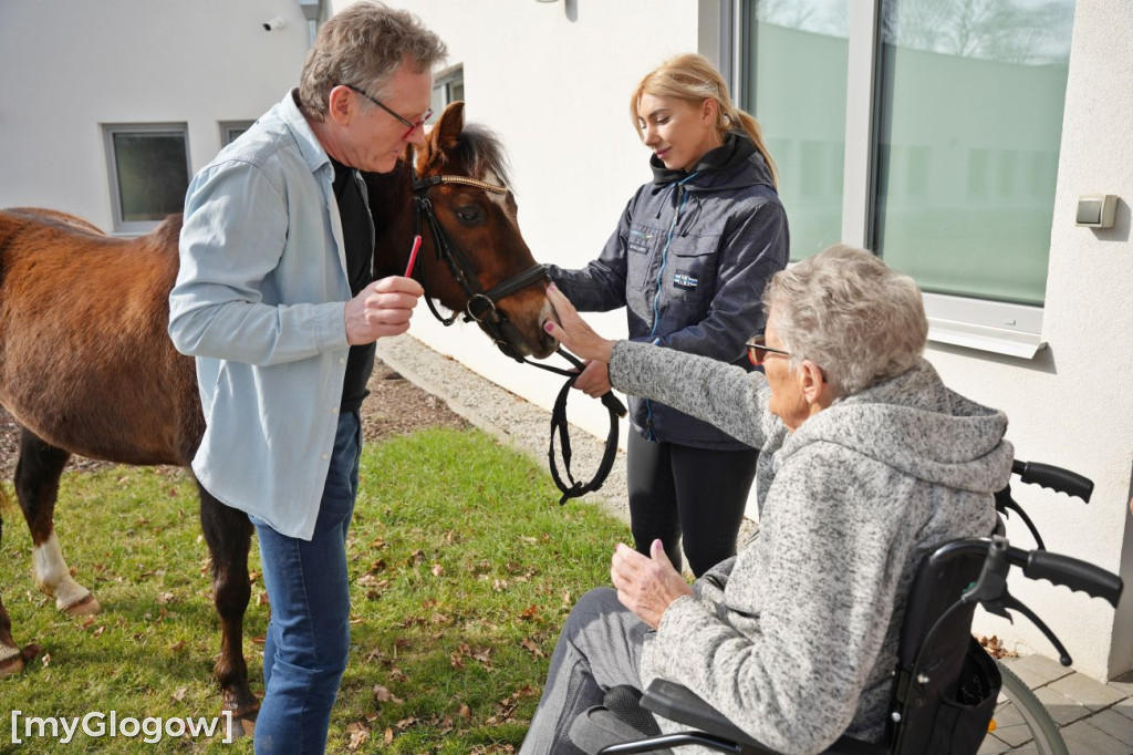 Konie w Hospicjum Głogowskim