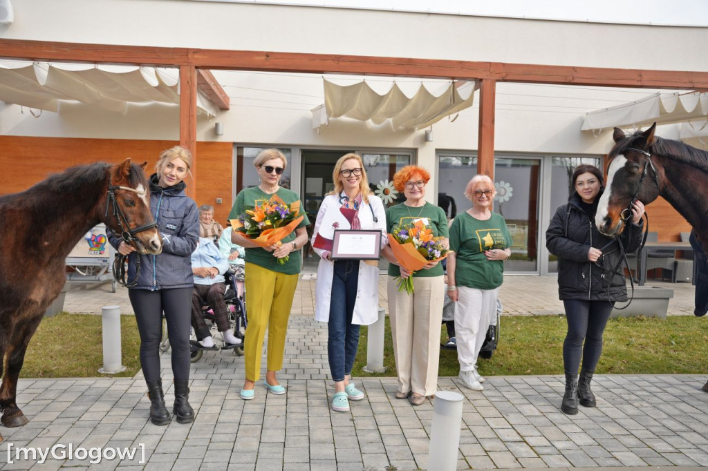 Konie w Hospicjum Głogowskim