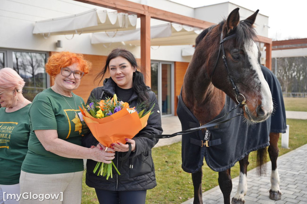 Konie w Hospicjum Głogowskim