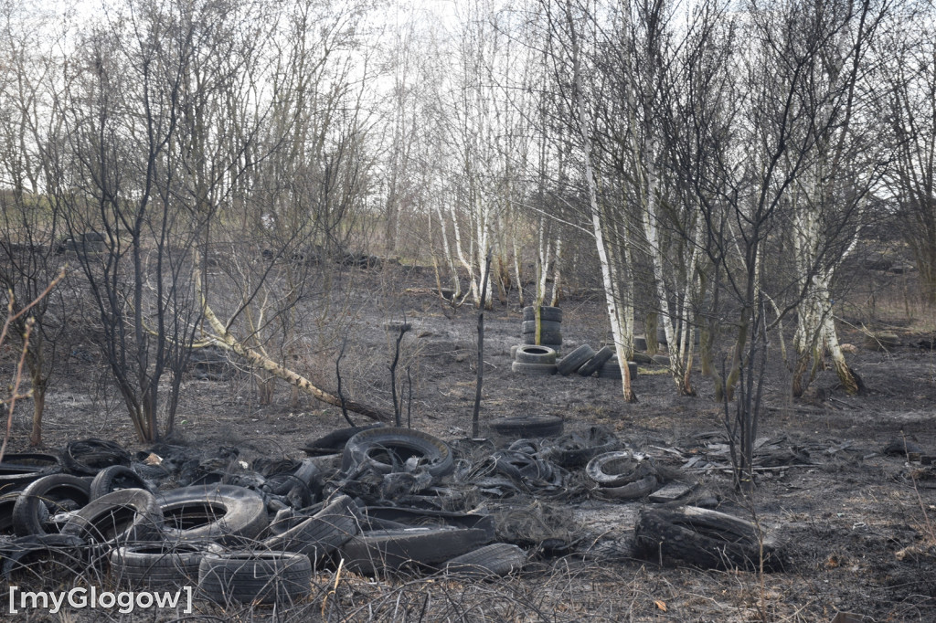 Pożar na obrzeżach Jaczowa