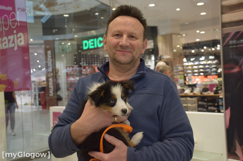 10. urodziny Galerii Glogovia